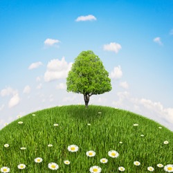 Similar image 1245119