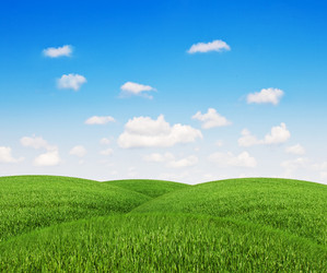 Similar image 1245120