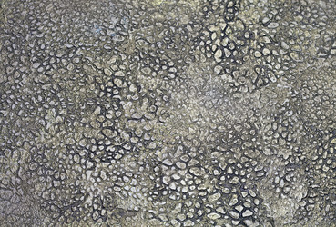 Similar image 1245205