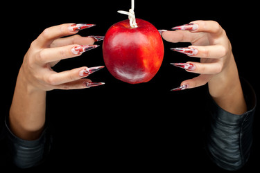 Similar image 1245237