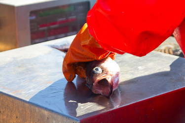 Similar image 1245379