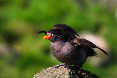 Similar image 1245384