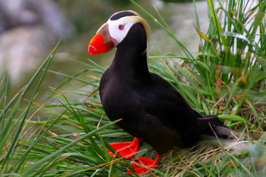 Similar image 1245390