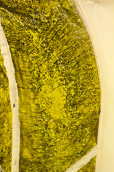 Similar image 1245392