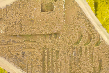 Similar image 1245393