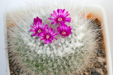 Similar image 1245681