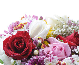 Similar image 1245916