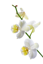 Similar image 1245918