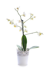 Similar image 1245920