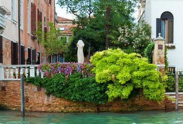 Similar image 1246129