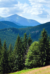 Similar image 1246138