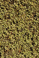 Similar image 1247321