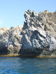 Similar image 1247739