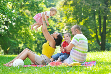 Similar image 1247884