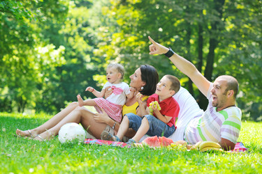 Similar image 1247927