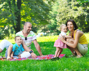 Similar image 1248212