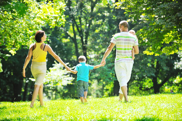 Similar image 1248466