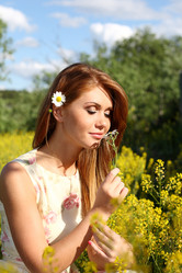 Similar image 1248565