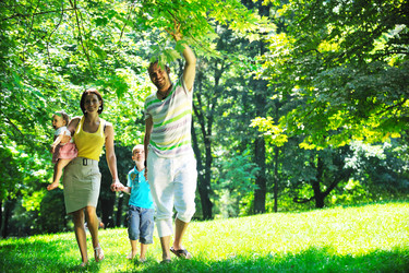 Similar image 1248617