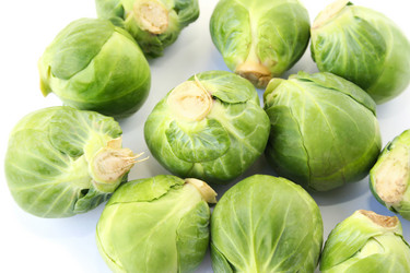 Similar image 1249688