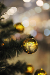 Similar image 1250301