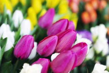 Similar image 1250335