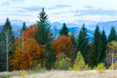 Similar image 1250457