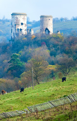 Similar image 1250458