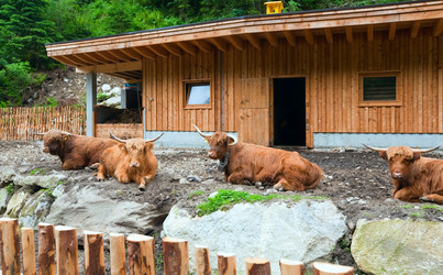 Similar image 1250487