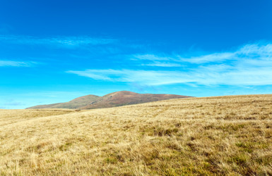 Similar image 1250496