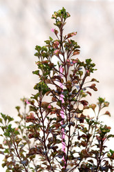 Similar image 1250567