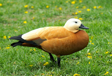 Similar image 1250622