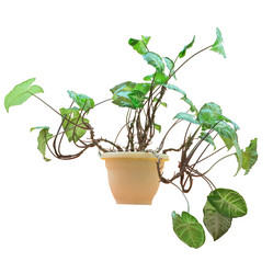 Similar image 1250627