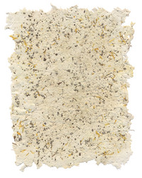 Similar image 1250646