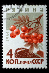 Similar image 1250807