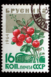 Similar image 1250811