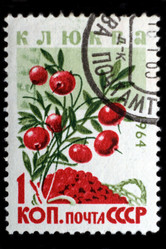 Similar image 1250812