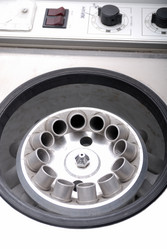 Similar image 1252419