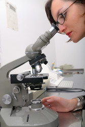 Similar image 1252454