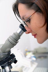 Similar image 1252455