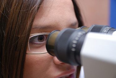 Similar image 1252464