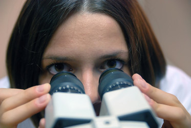 Similar image 1252480