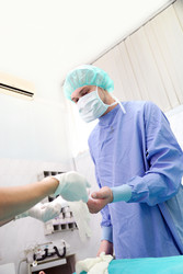 Similar image 1252554