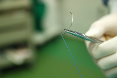 Similar image 1252561