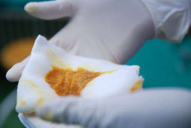 Similar image 1252573