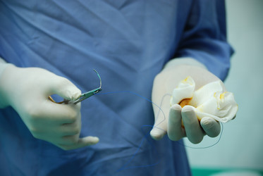 Similar image 1252575