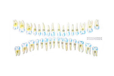 Similar image 1252606