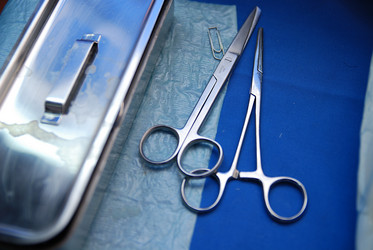 Similar image 1252639