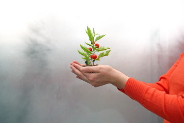 Similar image 1252705