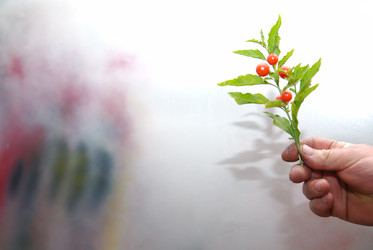 Similar image 1252719